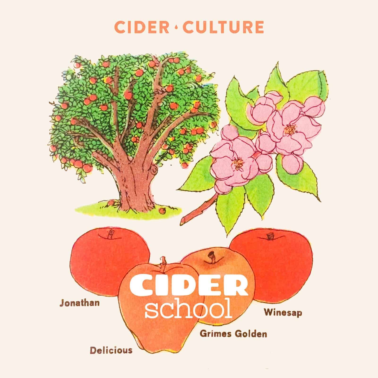 CC-Cider-School Cider School